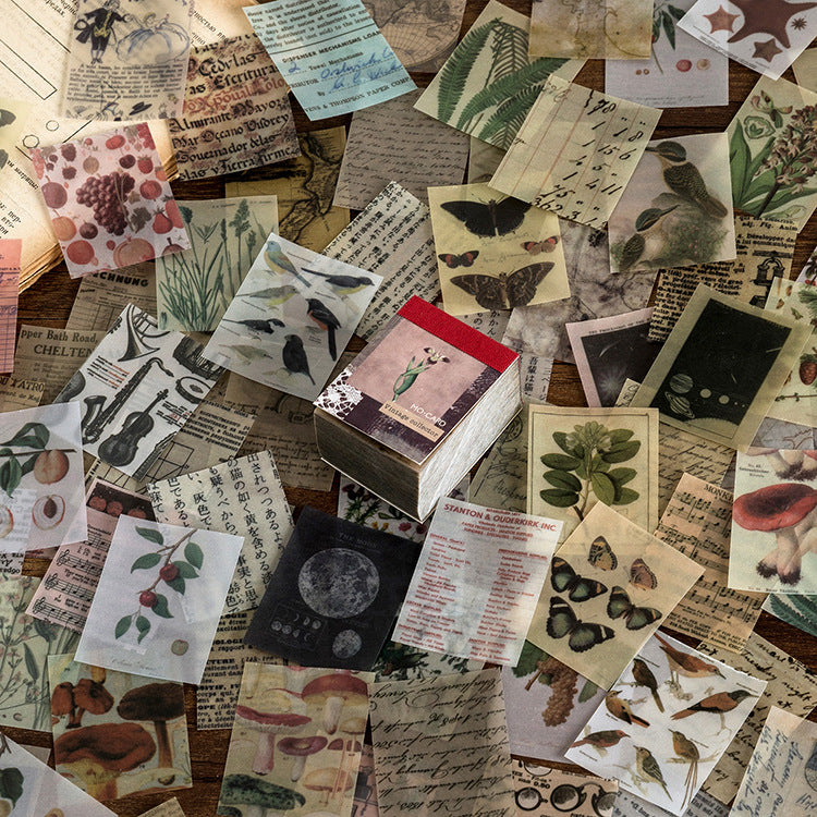 984b1b8c3fd7d703d4d2235583703257